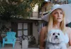 Under the Silver Lake