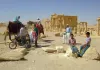 Palmyra