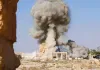 Palmyra