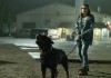 The Silence - Allys (Kiernan Shipka) Hund sprt die...fahr.
