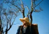 At Eternity's Gate - Willem Dafoe (Vincent Van Gogh)...nabel