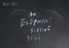 An Elephant Sitting Still <br />©  Arsenal Distribution