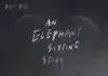 An Elephant Sitting Still