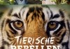 Tierische Rebellen - Die erstaunlichsten und frechsten Tiere der Welt <br />©  polyband