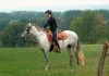 Magie der Wildpferde