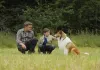 Lassie - Eine abenteuerliche Reise