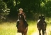 Pferde stehlen - Trond jung (Jon Ranes)