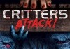 Critters Attack! <br />©  Warner Bros.