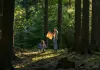 Königin - Ein Geheimnis was keiner erfahren darf