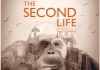 The Second Life - Das zweite Leben <br />©  Real Fiction