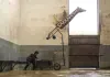 Rettet den Zoo