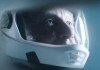 Astronaut - Richard Dreyfuss
