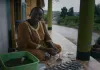 Das Fieber - Der Kampf gegen Malaria