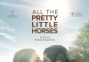 All The Pretty Little Horses <br />©  Neue Visionen