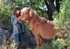 Mein Freund Poly - Ccile und Pony Poly (Elisa de Lambert)