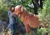 Mein Freund Poly - Cécile und Pony Poly (Elisa de Lambert)
