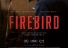 Firebird <br />©  Salzgeber & Co. Medien GmbH