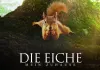 Die Eiche   Mein Zuhause