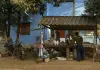 Voices from the Fire