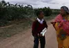 Voices from the Fire