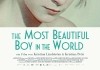 The Most Beautiful Boy in the World <br />©  missingFilms