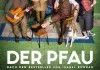 Der Pfau
