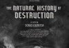Luftkrieg - Die Naturgeschichte der Zerstrung
