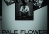 Pale Flower <br />©  Rapid Eye Movies
