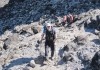 Kilimandscharo: Diesmal mit Krcken