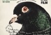 Music for Black Pigeons <br />©  Rise and Shine Cinema