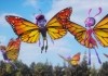 Butterfly Tale - Ein Abenteuer liegt in der Luft -...ntine