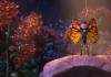 Butterfly Tale - Ein Abenteuer liegt in der Luft -...arty!
