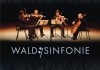 Wald:Sinfonie <br />©  inselfilm produktion GmbH