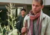 Die Schattenjäger - Hamid verfolgt Harfaz