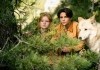 Woodwalkers 2