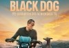 Black Dog <br />©  Filmwelt