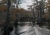 Caddo Lake