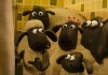 Shaun das Schaf - Spuk im Kürbisfeld