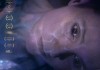 Ich sterbe. Kommst Du? <br />©  barnsteiner-film