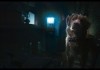 Good Boy -Trust His Instincts - Indy