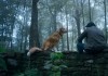 Good Boy -Trust His Instincts - Indy