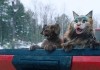 Miau & Wau