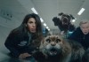 Miau & Wau - Monica (Reem Kherici) mit Katze DIVA und...Hund