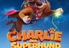 Charlie der Superhund