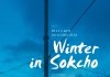 Winter in Sokcho