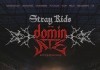Stray Kids: The dominATE Experience