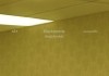 Backrooms
