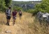 Die Camino-Therapie - Finde deinen Weg