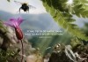 Insekten - Helden im Verborgenen
