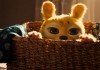 Marsupilami